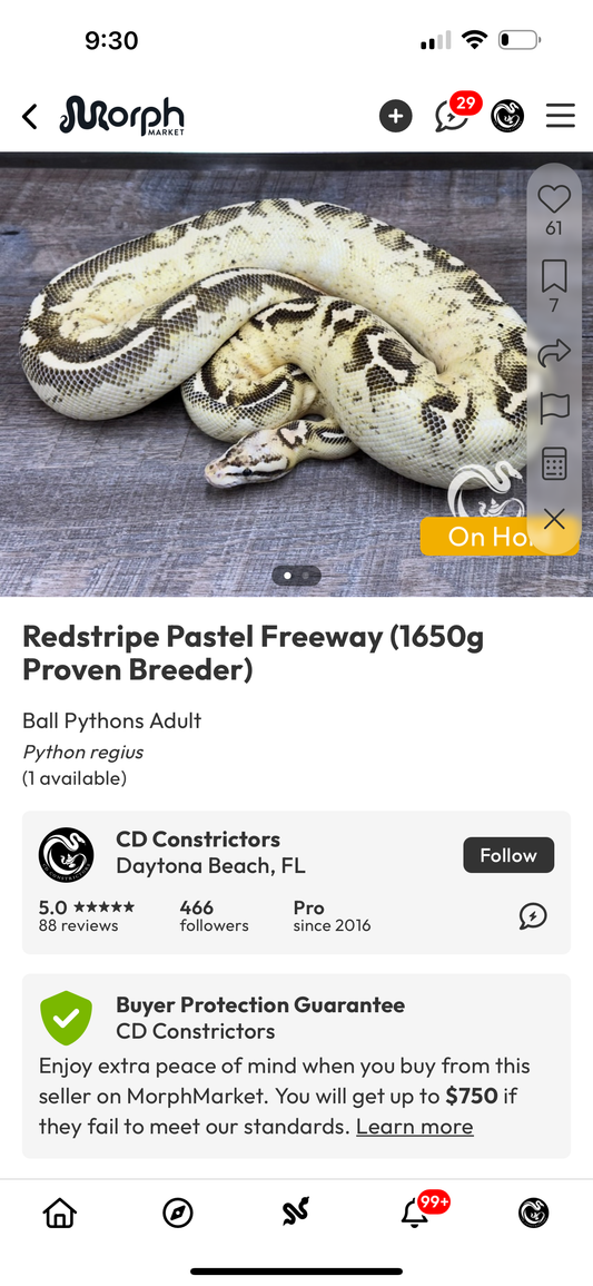 Joe Skrdlant Auction