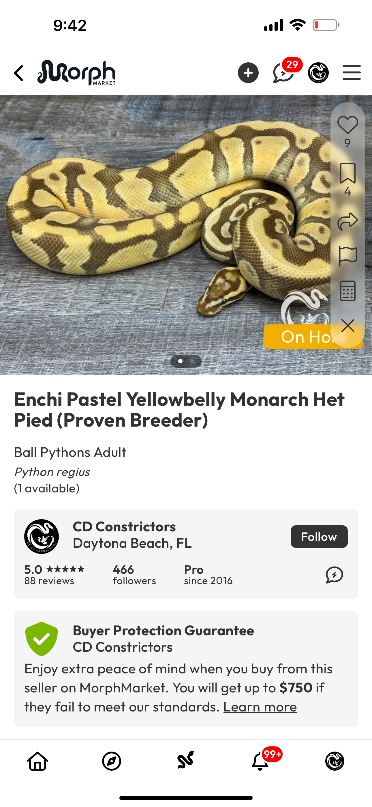 TTB Auction