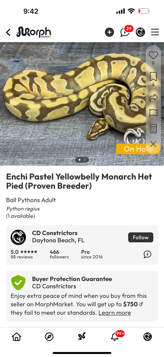 TTB Auction